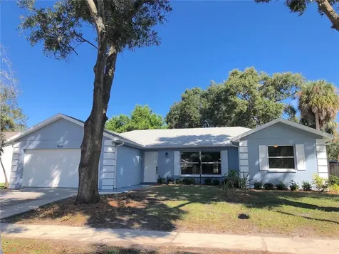 1860 Willow Oak Drive Palm Harbor FL 34683