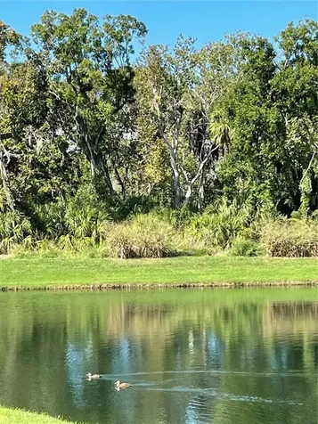 4108 Lindever Lane Palmetto FL 34221