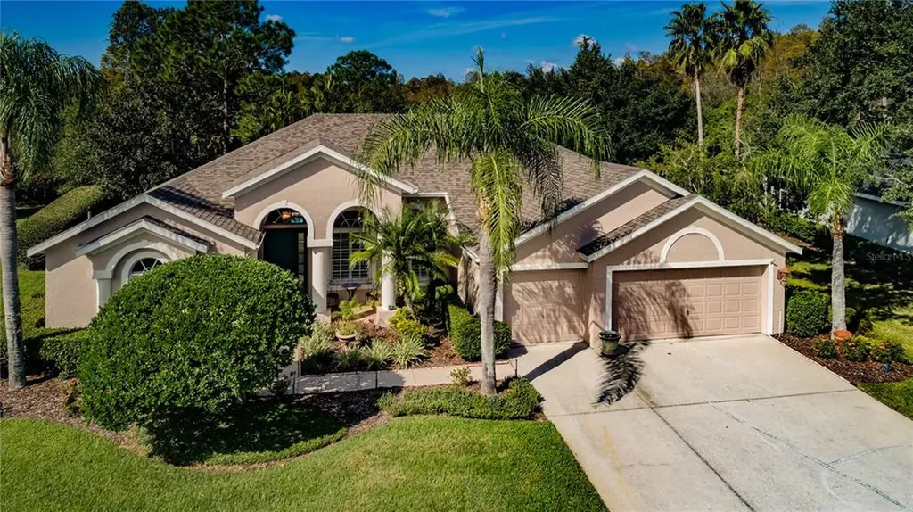 18932 Saint Laurent Drive Lutz FL 33558