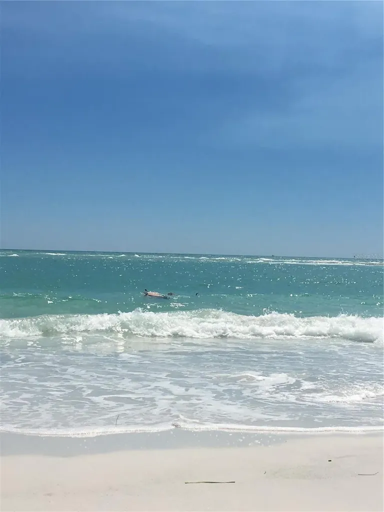 Sarasota FL 34236