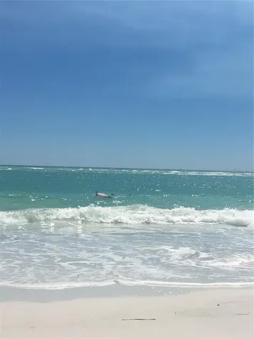 Sarasota FL 34236