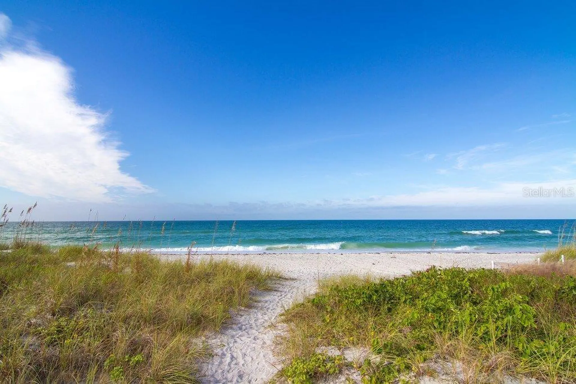 1001 Benjamin Franklin Drive Sarasota FL 34236