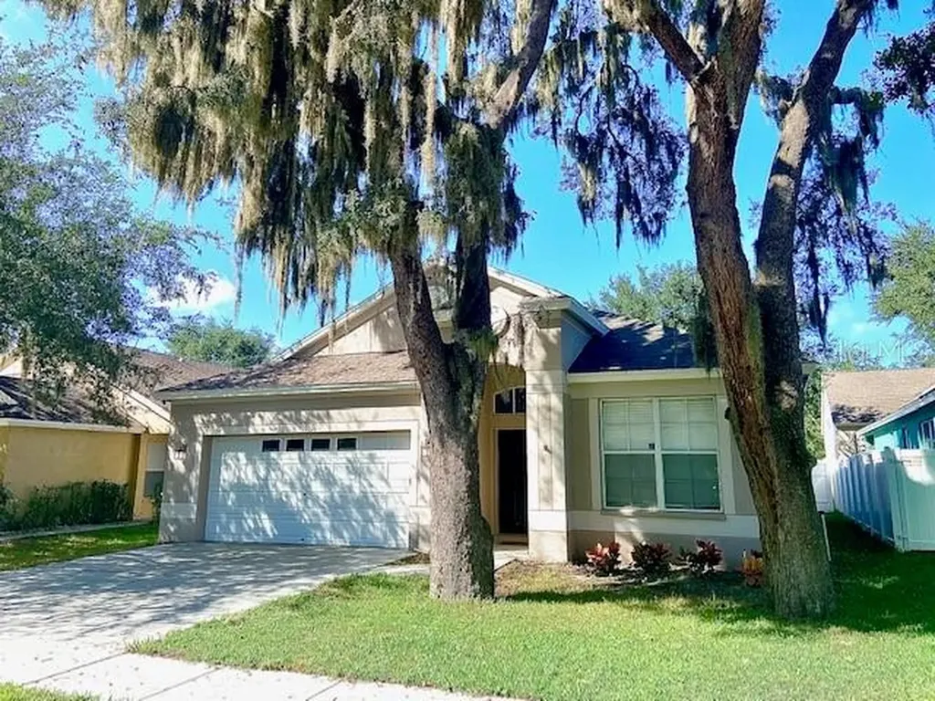13036 Terrace Springs Drive Temple Terrace FL 33637