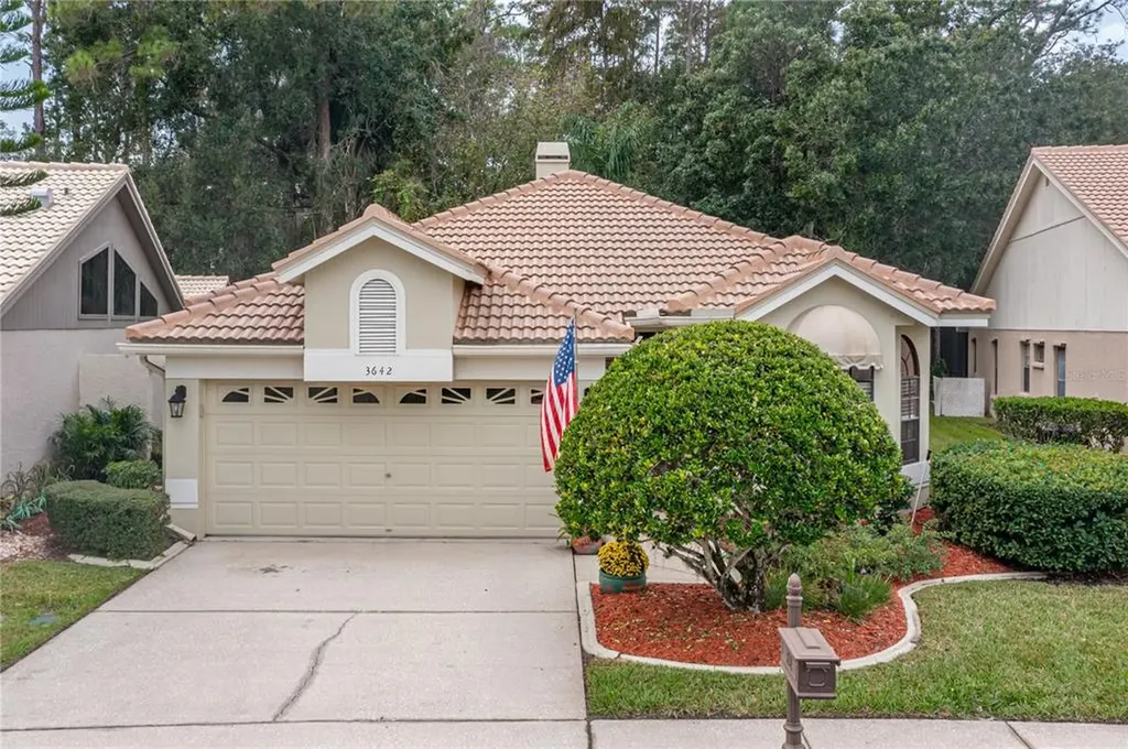 3642 Darston Street Palm Harbor FL 34685