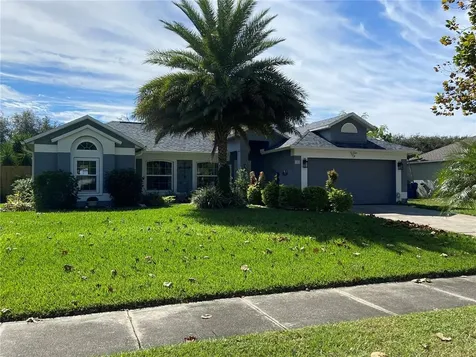 323 Brimming Lake Road Minneola FL 34715