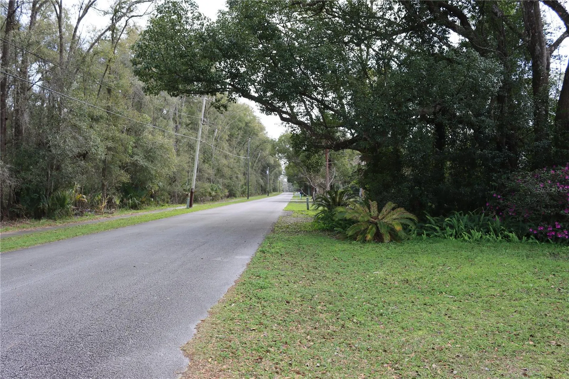 1845 Lemon Street Deland FL 32720