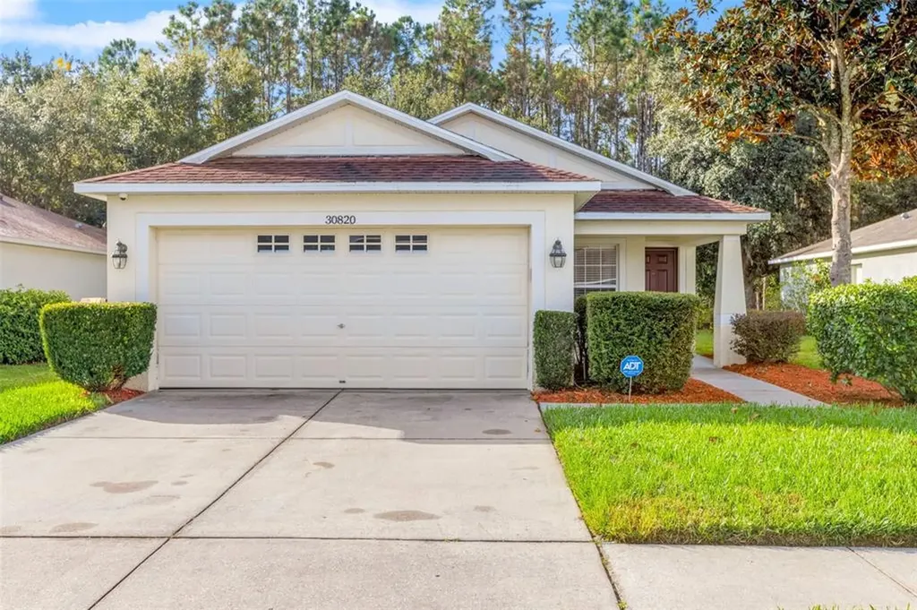 30820 White Bird Avenue Wesley Chapel FL 33543