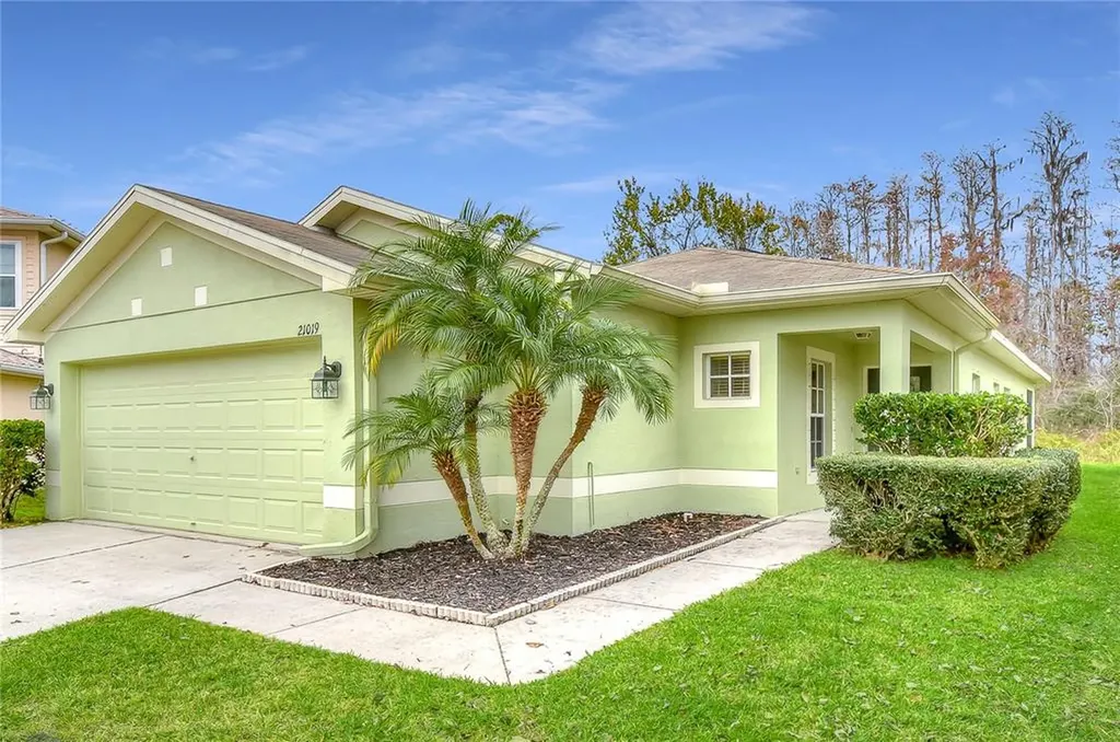 21019 Follensby Court Land O Lakes FL 34637