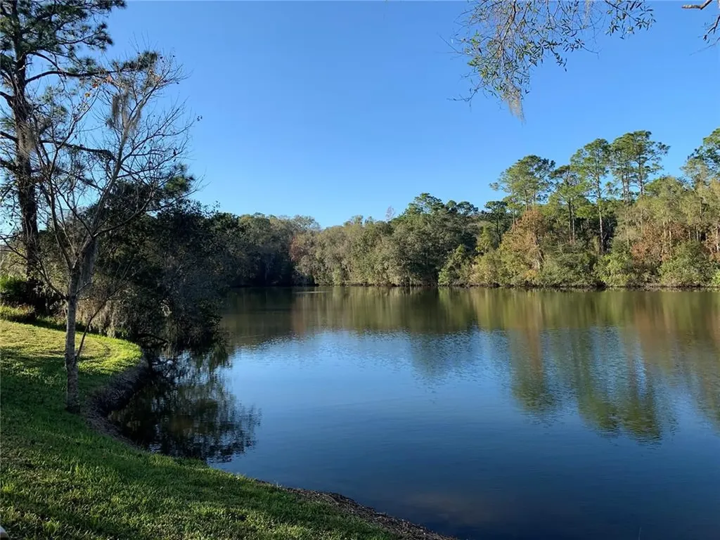 15631 Morning Drive Lutz FL 33559