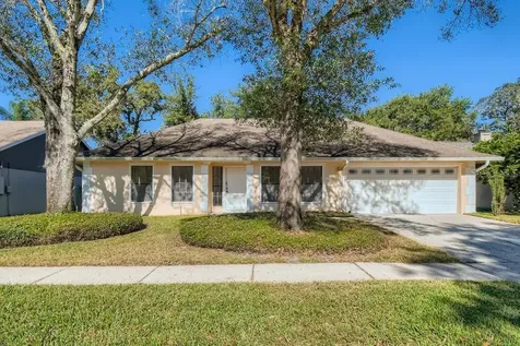 15012 Redcliff Drive Tampa FL 33625