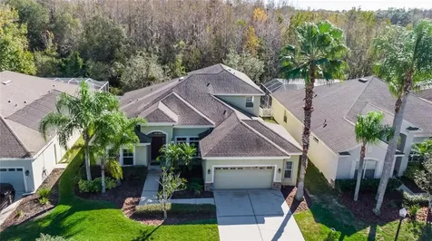 3223 Grassglen Place Wesley Chapel FL 33544