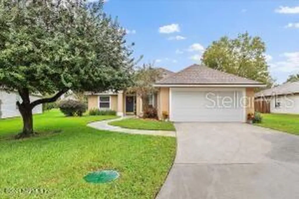 310 Lake Bluff Court Orange Park FL 32073