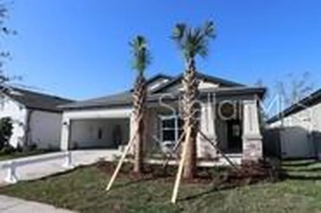 30185 Marquette Avenue Wesley Chapel FL 33545