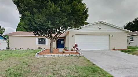 3706 Greenford Street Valrico FL 33596
