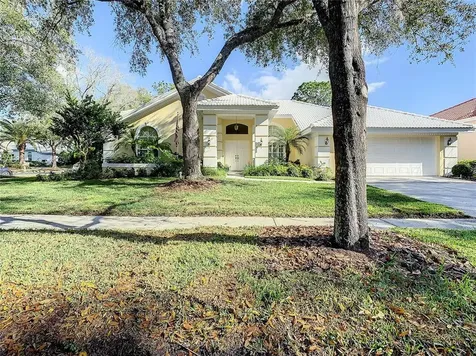 17815 Grey Brooke Drive Tampa FL 33647