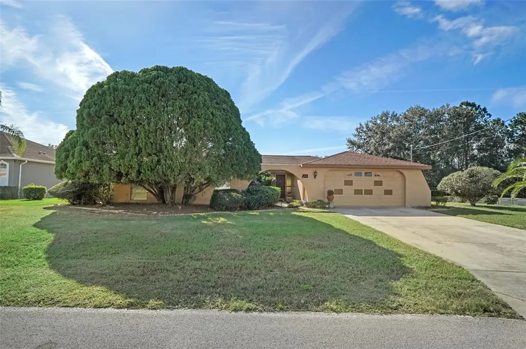 209 Dandelion Court Spring Hill FL 34606