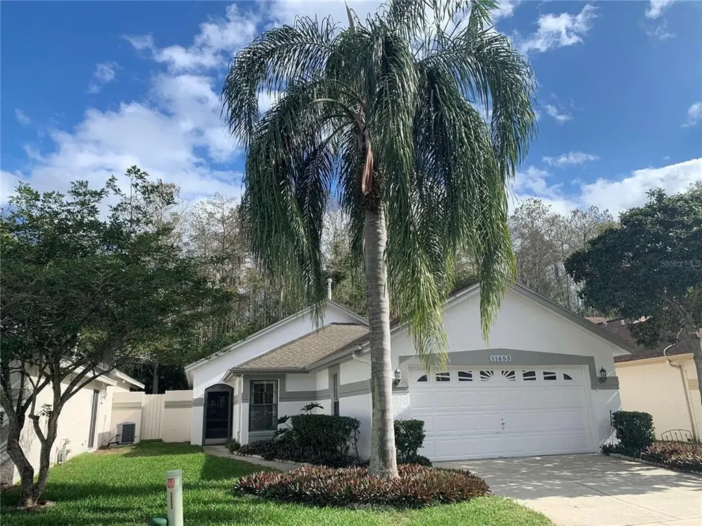 11653 Peach Grove Lane Orlando FL 32821