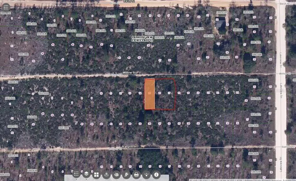 Willow Street Interlachen FL 32148