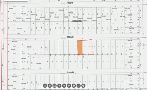 Willow Street Interlachen FL 32148