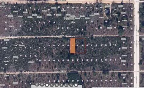 Willow Street Interlachen FL 32148