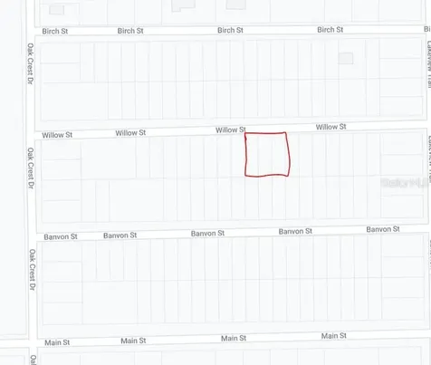 Willow Street Interlachen FL 32148