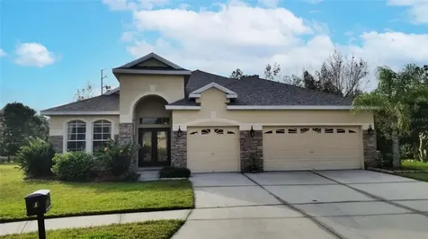 16434 Bridgewalk Drive Lithia FL 33547