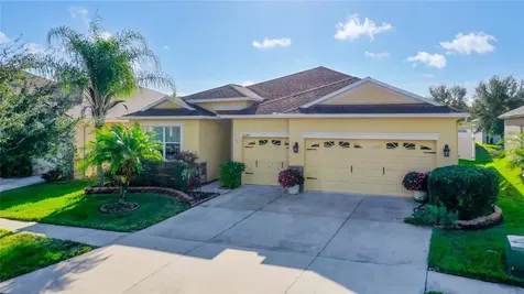 20048 Oakflower Avenue Tampa FL 33647
