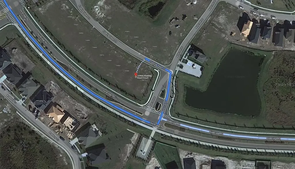 33906 Floating Heart Court Wesley Chapel FL 33545