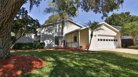 1418 Monte Lake Drive Valrico FL 33596