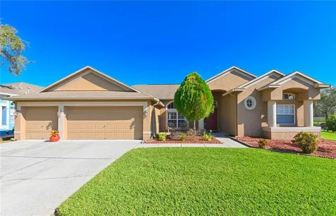 3210 Ashmonte Drive Land O Lakes FL 34638