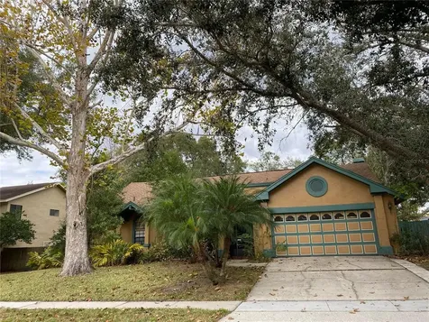 733 Swaying Palm Drive Apopka FL 32712