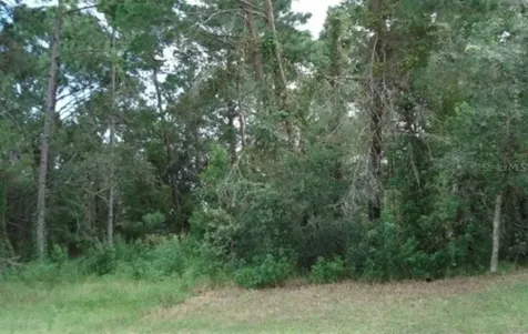 4282 Candler Avenue Spring Hill FL 34609