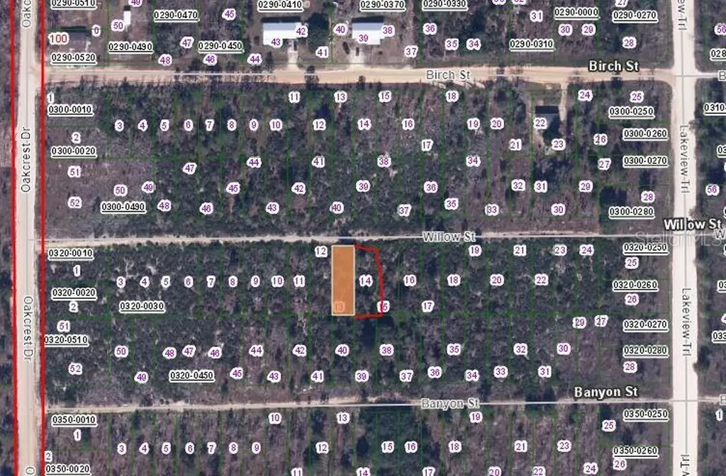 00 Willow Street Street Interlachen FL 32148