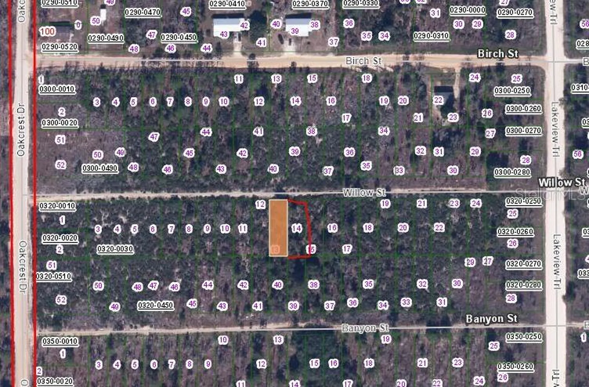 00 Willow Street Street Interlachen FL 32148