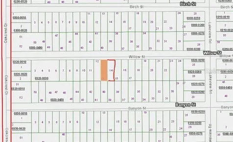 00 Willow Street Street Interlachen FL 32148