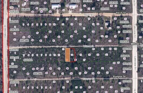 00 Willow Street Street Interlachen FL 32148