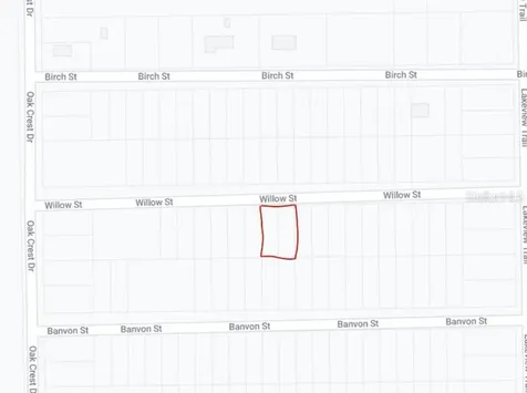 00 Willow Street Street Interlachen FL 32148