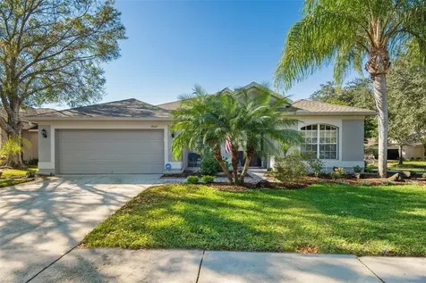 19614 Morden Blush Drive Lutz FL 33558