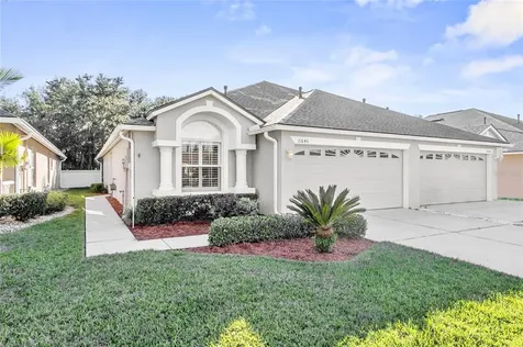 31846 Turkeyhill Drive Wesley Chapel FL 33543