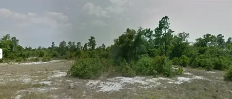 153 Violet Court Poinciana FL 34759