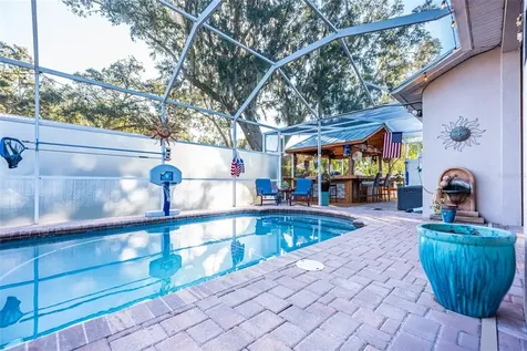 1625 Harvest Grove Court Valrico FL 33596