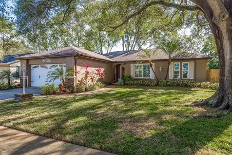 3109 Blue Heron Street Safety Harbor FL 34695