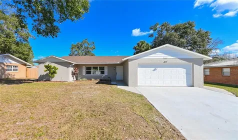 26770 Hickory Loop Lutz FL 33559