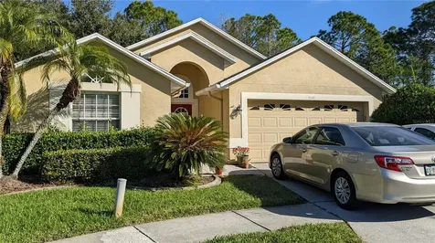 14401 Pepperpine Drive Tampa FL 33626