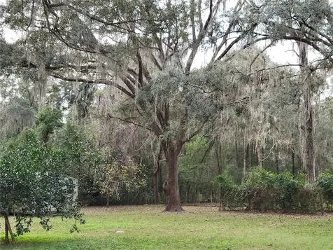 10821 SW 24th Avenue Gainesville FL 32607