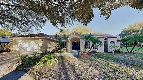 22909 Mosswood Court Land O Lakes FL 34639