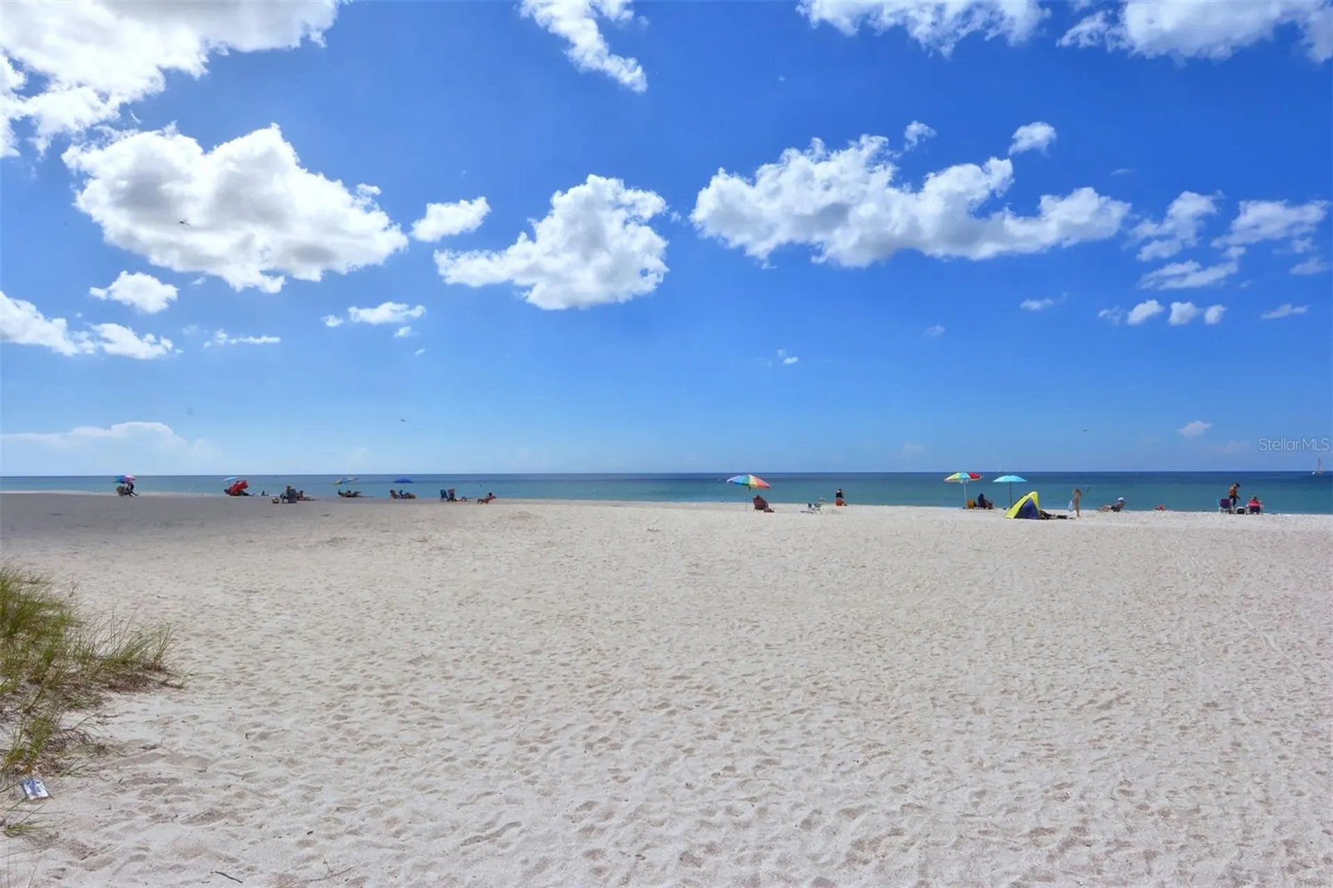 3708 Sandspur Lane Nokomis FL 34275