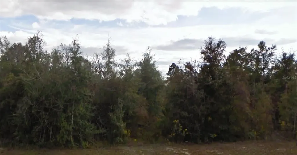 Cavalier Drive Chipley FL 32428