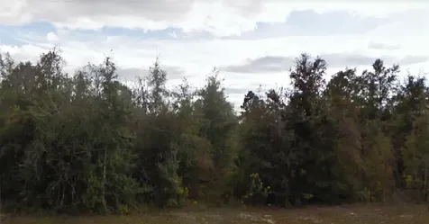 Cavalier Drive Chipley FL 32428