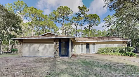 27729 Green Willow Run Wesley Chapel FL 33544